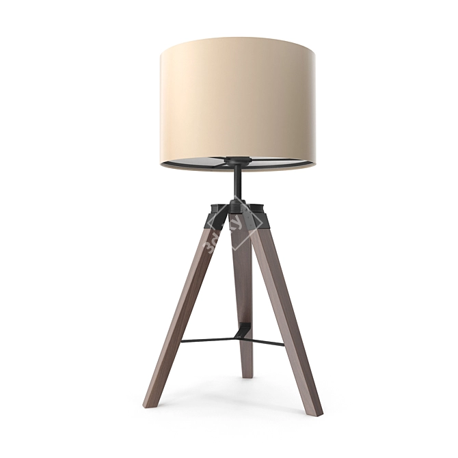 Title: LANTADA Tripod Table Lamp 3D model image 1