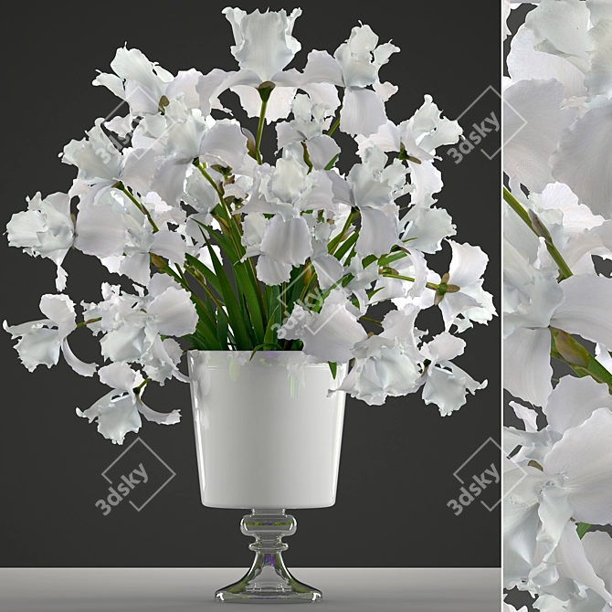 Elegant White Iris Bouquet 3D model image 1