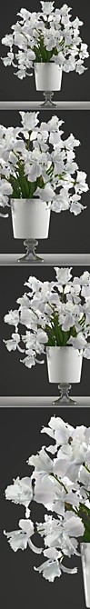 Elegant White Iris Bouquet 3D model image 2