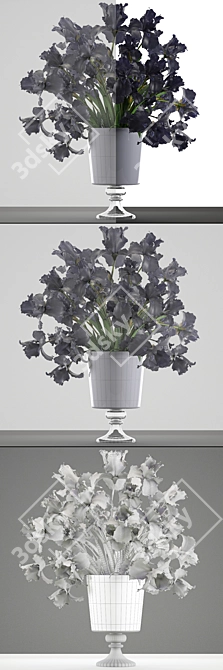 Midnight Blooms: Black Iris Collection 3D model image 3