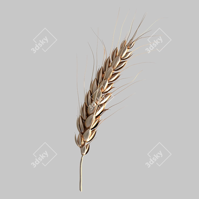 Golden Grain Harvest 3D model image 3