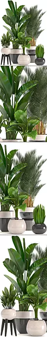 Tropical Plant Collection: Bananas, Palms, and More! 3D model image 2