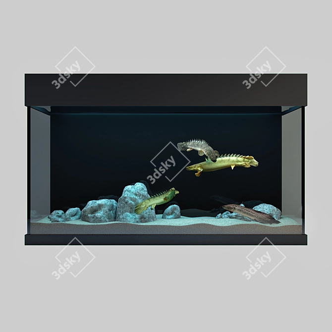 Predatory Fish & Aquarium Set 3D model image 1