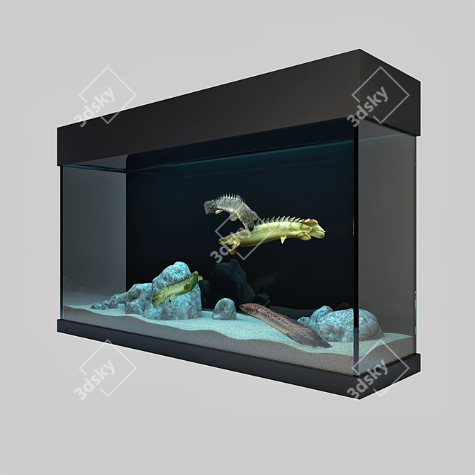 Predatory Fish & Aquarium Set 3D model image 2