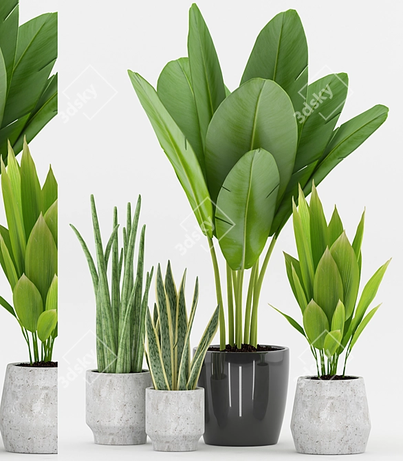 Tropical Greenery Collection: Plant 73 3D model image 1