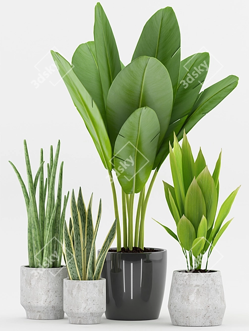 Tropical Greenery Collection: Plant 73 3D model image 2