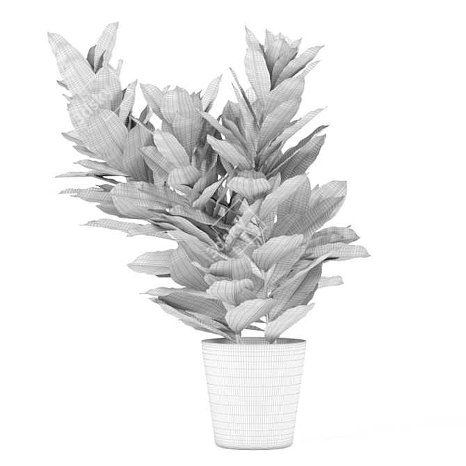 Kodeia: Lush and Leafy 3D model image 2
