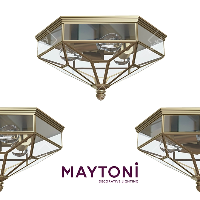 Maytoni Zeil House Wall-Ceiling Lamp 3D model image 1