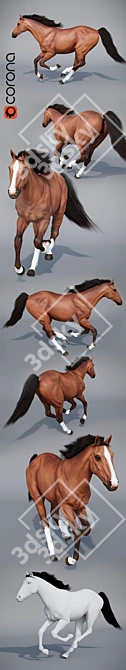 Gallop: Running Horse Model 3D model image 2