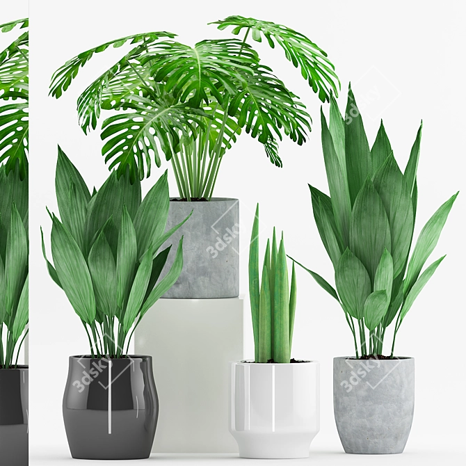 Modern Greenery Trio with Stylish Pot 3D model image 1