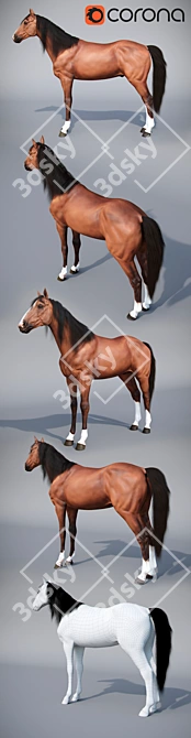 Elegant Standing Horse Sculpture 3D model image 2