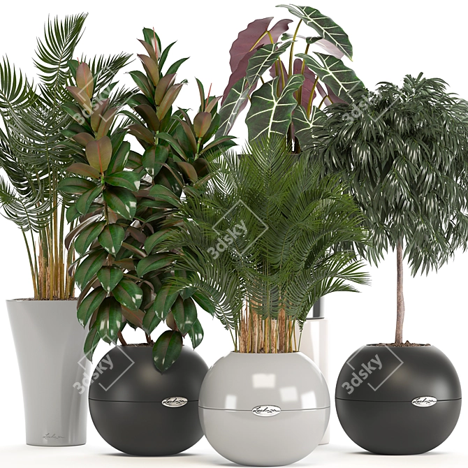 Indoor Collection of Plant Varieties 3D model image 1