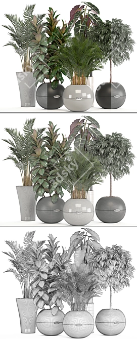 Indoor Collection of Plant Varieties 3D model image 3