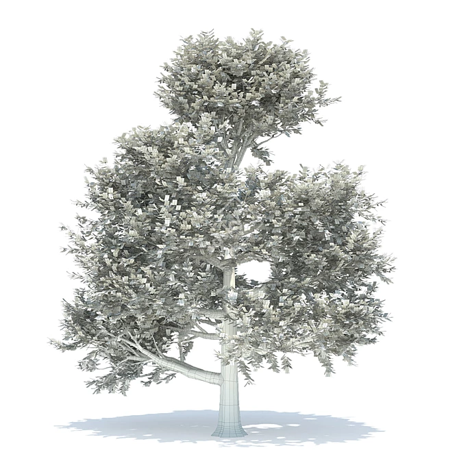 Summer Oak Tree with Acorns 3D model image 3