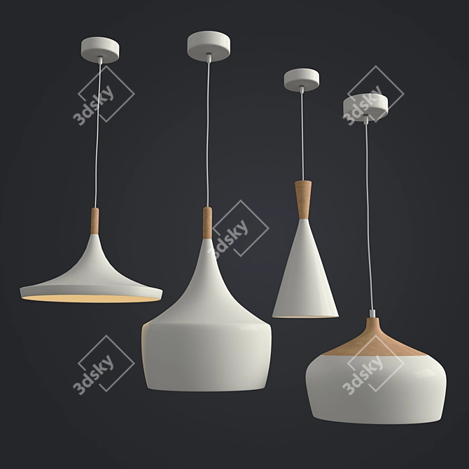 Minimalist Samuel Ceiling Light 3D model image 1