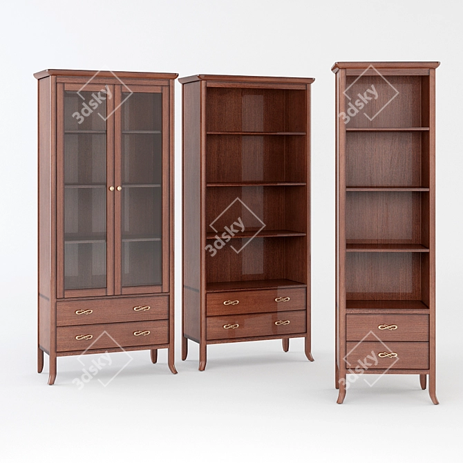 CARPENTER 309 Cabinet and Shelving Set 3D model image 2