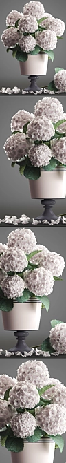 Elegant Hydrangea Bouquet 3D model image 2