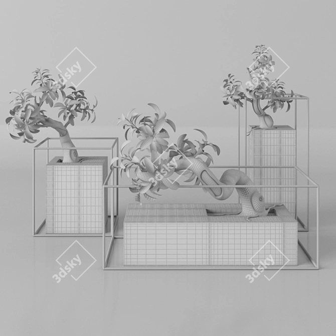 33 Bonsai Plants Tree 3D model image 2