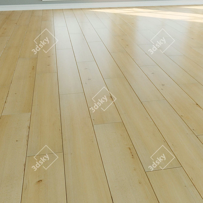 6th Natural Wood Parquet Laminate 3D model image 2