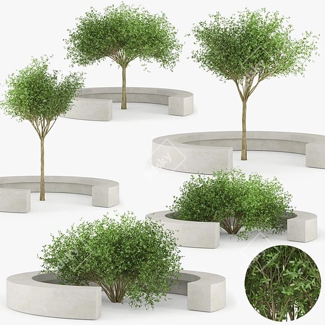 Vora Arquitectura Tree Bench: Combining Natural Beauty 3D model image 1
