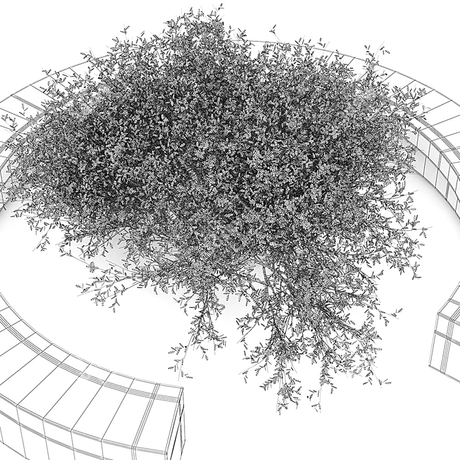 Vora Arquitectura Tree Bench: Combining Natural Beauty 3D model image 3
