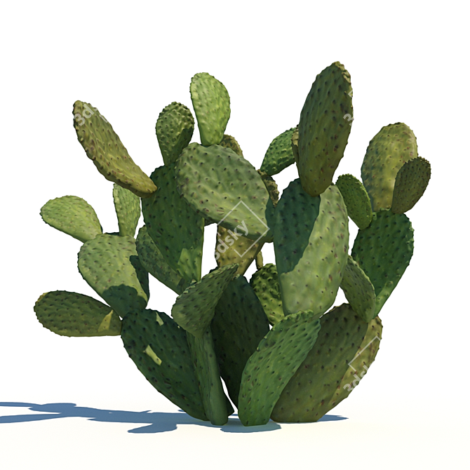 Opuntia Ficus-Indica: Mediterranean Cactus 3D model image 1