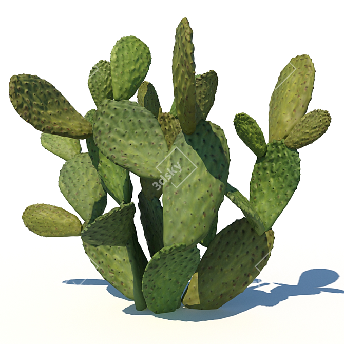 Opuntia Ficus-Indica: Mediterranean Cactus 3D model image 2