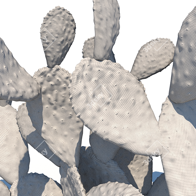 Opuntia Ficus-Indica: Mediterranean Cactus 3D model image 3