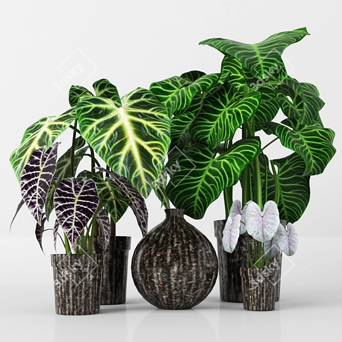 3D Plants Tree Collection 3D model image 1