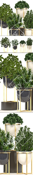 Luxury Interior Plant Collection 3D model image 2