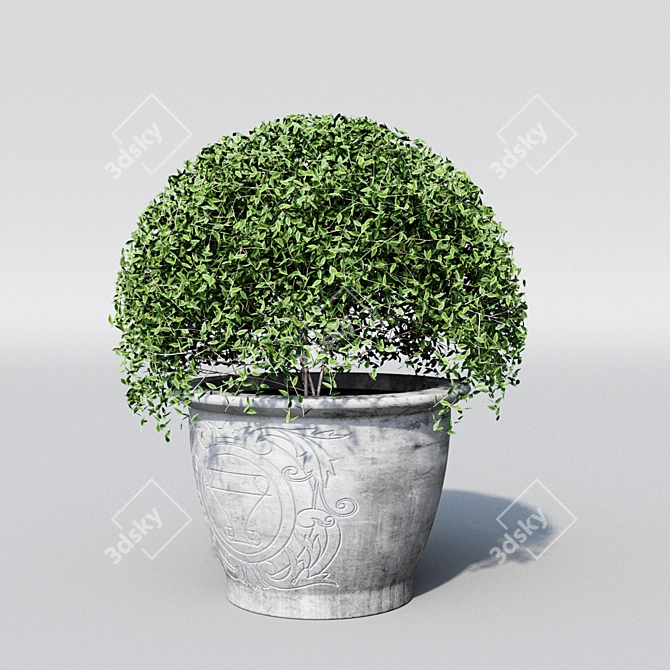 Round Plant: 3Dmax 2014 Archive 3D model image 2