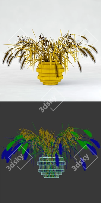  Realistic Northern Sea Oats & Pennisetum Green 3D model image 3