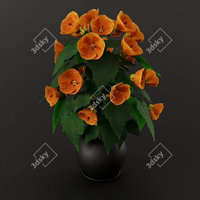 Vibrant Orange Abutilone: Height 0.4m 3D model image 1