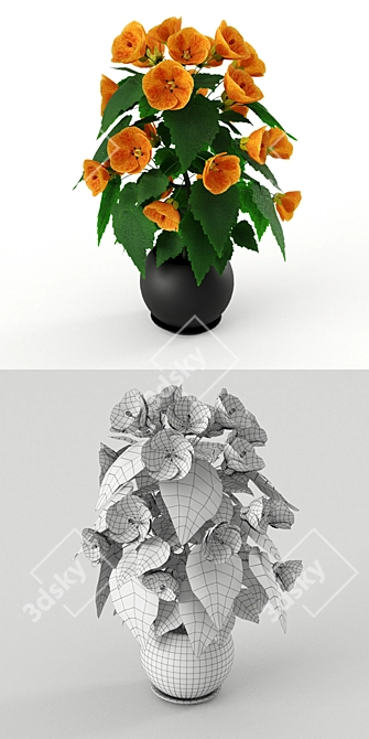 Vibrant Orange Abutilone: Height 0.4m 3D model image 3