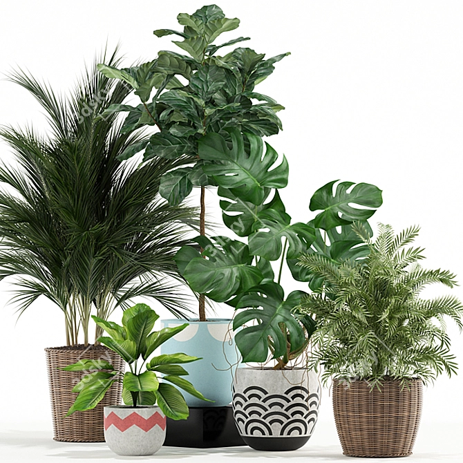 115 Plant Collection: Exquisite Variety for Every Space 3D model image 1