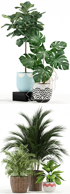 115 Plant Collection: Exquisite Variety for Every Space 3D model image 2