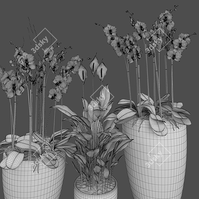 Exotic Beauty: Orchid & Spatiphyllum 3D model image 3