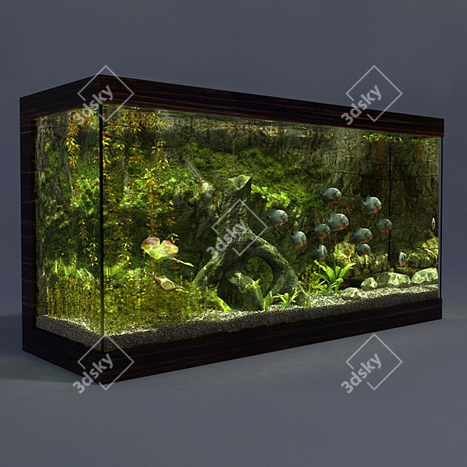 Piranha Aquarium - 1825x620x950mm 3D model image 2