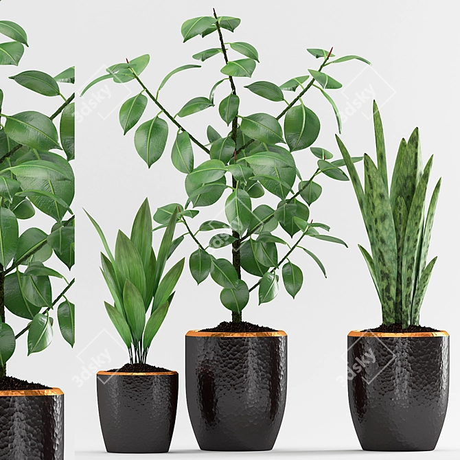 Stunning Plant Trio with Elegant Pot 3D model image 1