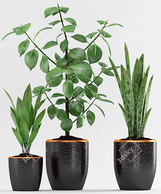 Stunning Plant Trio with Elegant Pot 3D model image 2