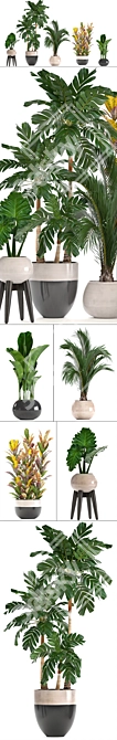 Diverse Indoor Plant Collection 3D model image 2