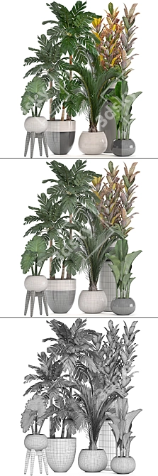 Diverse Indoor Plant Collection 3D model image 3