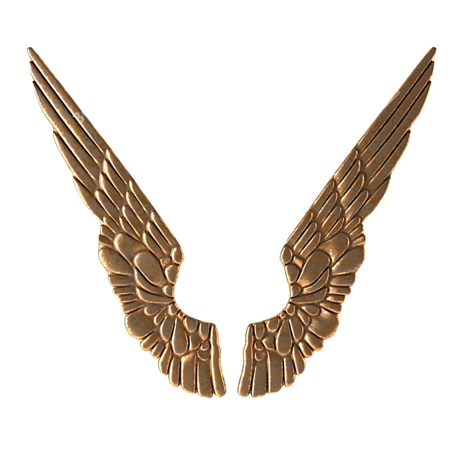 Vintage Gilded Angel Wings 3D model image 1