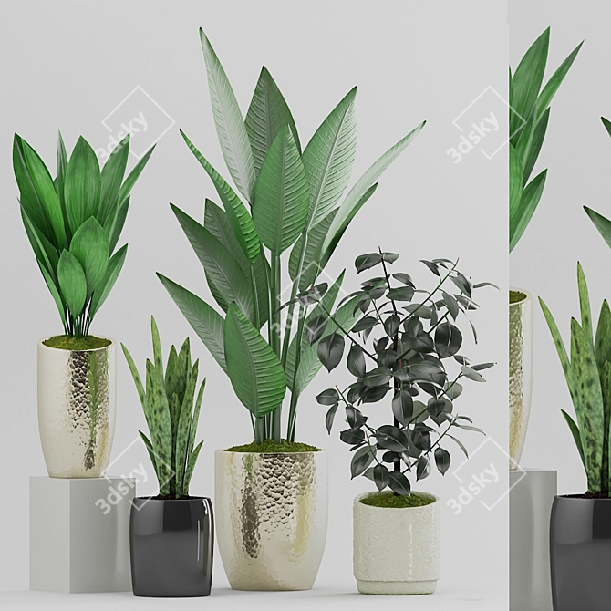 Botanical Plant Set: Black Pot 3D model image 1