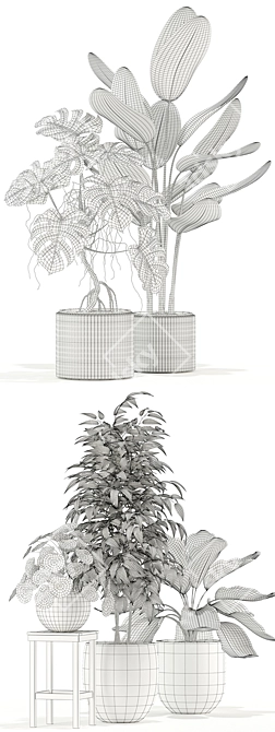 Greenery Galore: 117 Delightful Plant Varieties 3D model image 3