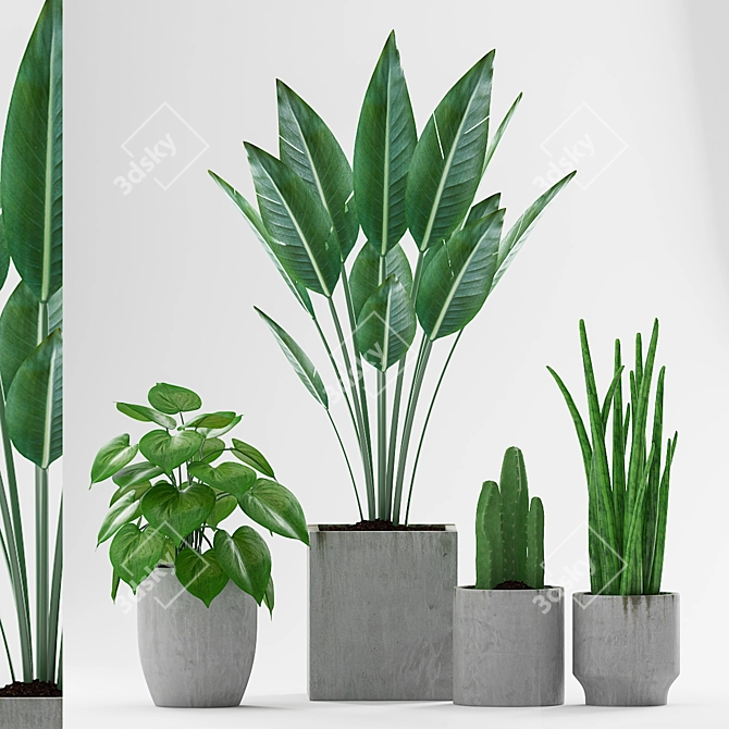 Gorgeous Greenery: Cactus Paradise Plant Kit 3D model image 1