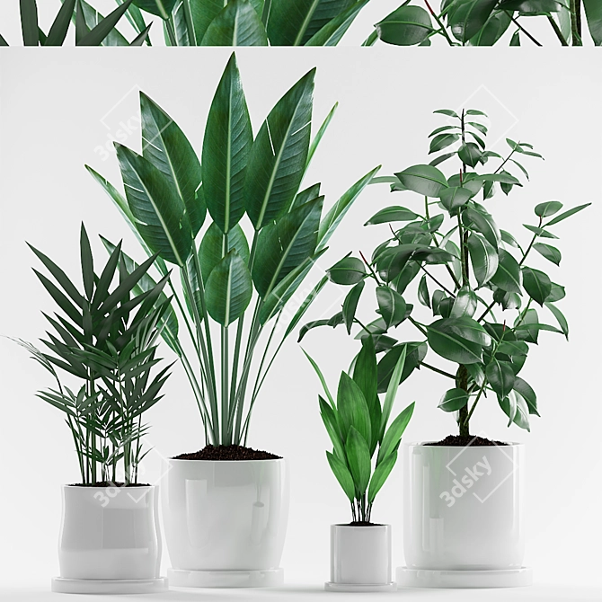 Tropical Plant Trio in White Pot 3D model image 1