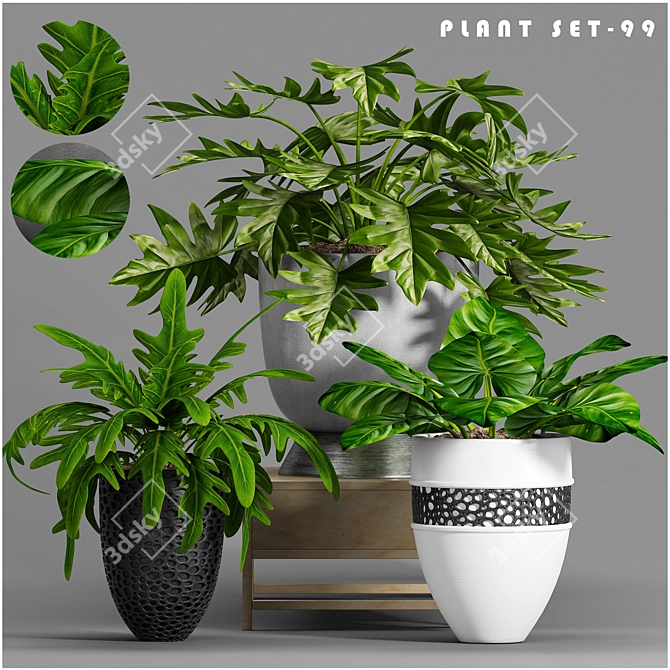 Stylish Plant Decor Set 3D model image 1