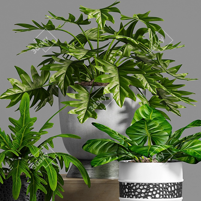 Stylish Plant Decor Set 3D model image 3