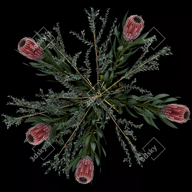 Realistic Proteas & Eucalyptus Parvifolia - Glass Vase 3D model image 2